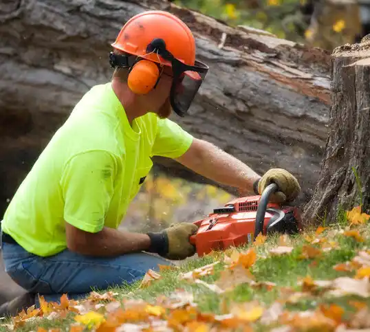 tree services Union Springs